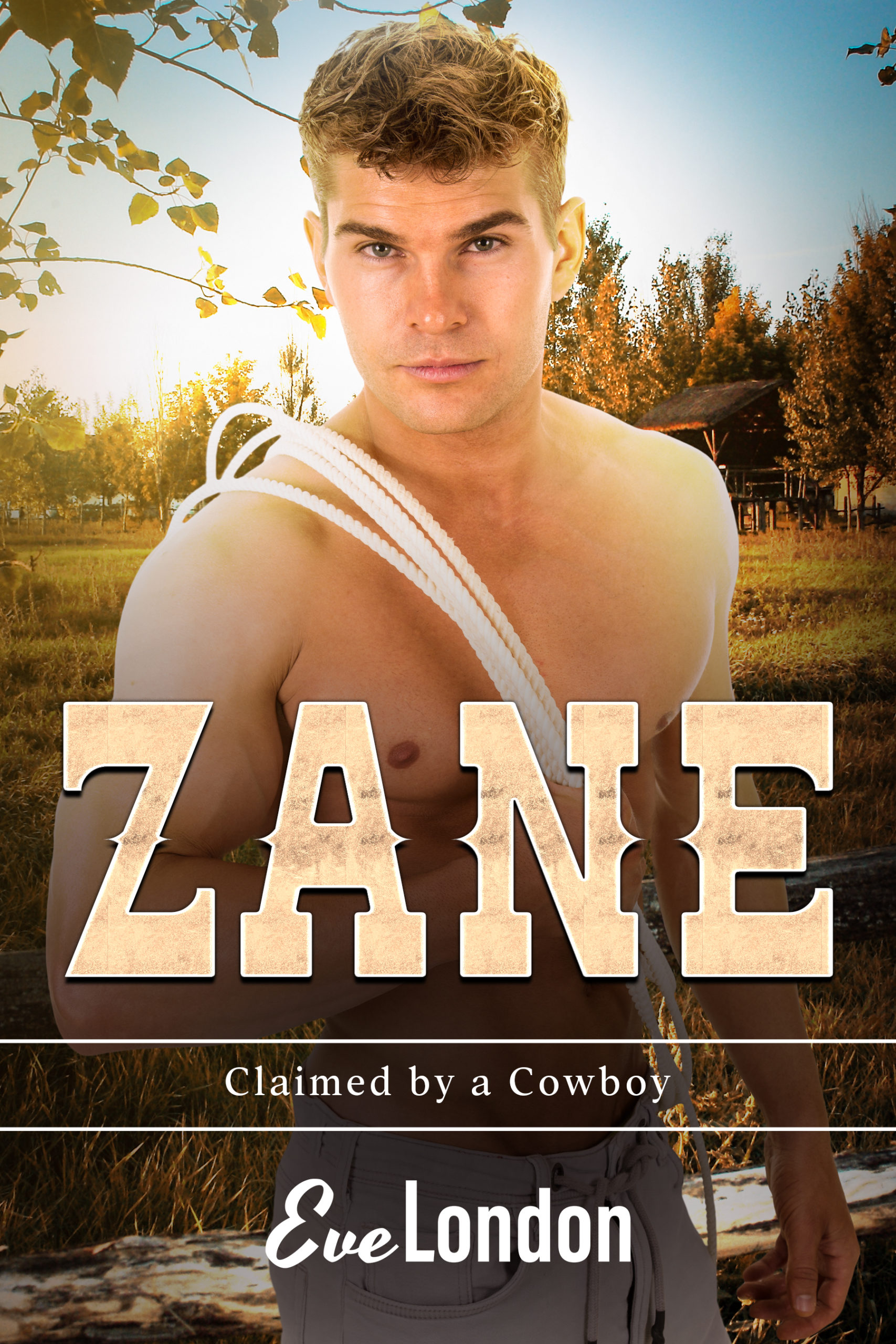 Zane: A Curvy Girl & Quadruplet Cowboy Romance – Eve London – Romance ...